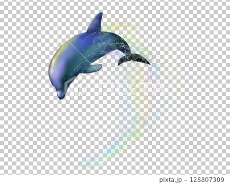 dolphin, dolphins, jumping 128807309