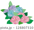 あじさい 128807310