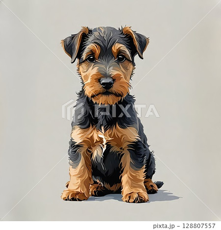 かわいくおすわりしたウェルシュ・テリアの子犬 かわいくおすわりしたウェルシュ・テリアの子犬 128807557