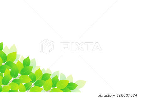 新緑 葉っぱ 左下 背景素材 イラスト 128807574