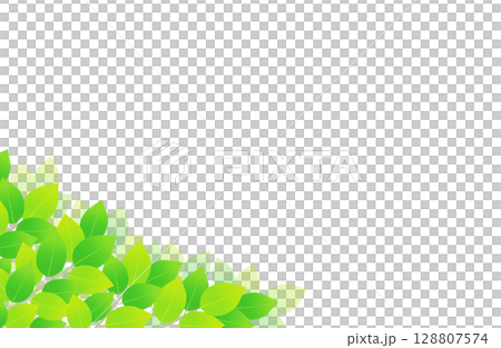 新緑 葉っぱ 左下 背景素材 イラスト 128807574