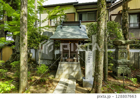 四国八十八箇所19番　立江寺　白杉大明神　徳島県小松島市 128807663