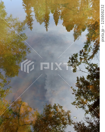 autumn reflection on calm water capturing vibrant hues and natural beauty. closeup. 128808232