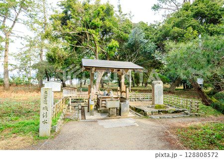 春の天橋立神社 磯清水 京都府宮津市 春の天橋立神社 磯清水 京都府宮津市 128808572