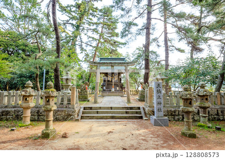 春の天橋立神社　京都府宮津市 128808573