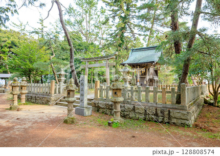 春の天橋立神社　京都府宮津市 128808574