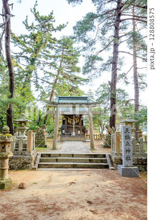 春の天橋立神社　京都府宮津市 128808575
