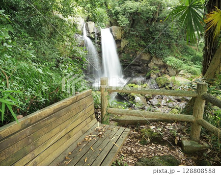 静岡県 観瀑台から見る不動の滝 7月 静岡県 観瀑台から見る不動の滝 7月 128808588