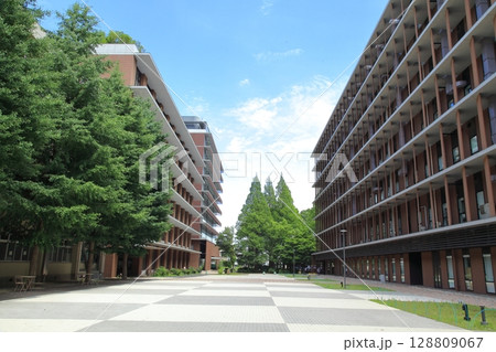 東京農業大学　世田谷キャンパス　東京都 128809067