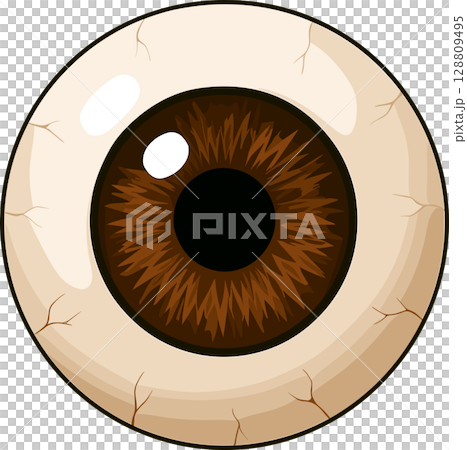リアルな茶色の目玉のイラスト 128809495