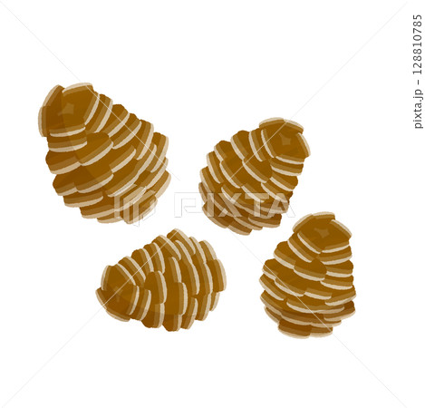 松ぼっくりのイラスト 128810785