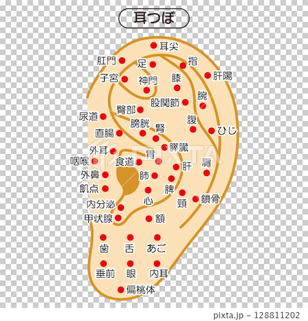 Illustrated illustration of ear acupressure points (Japanese version) 128811202