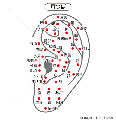 耳つぼの図解イラスト（日本語版） 128811206