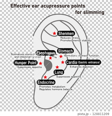 對減肥有效的耳穴圖解（英文版） 128811209