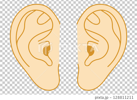 Ear vector illustration (horizontal, left and right) 128811211