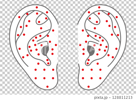 Illustrated illustration of ear acupressure points (both ears) 128811213