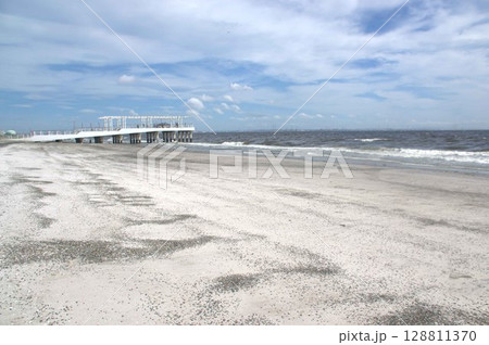 稲毛海浜公園 稲毛海浜公園 128811370