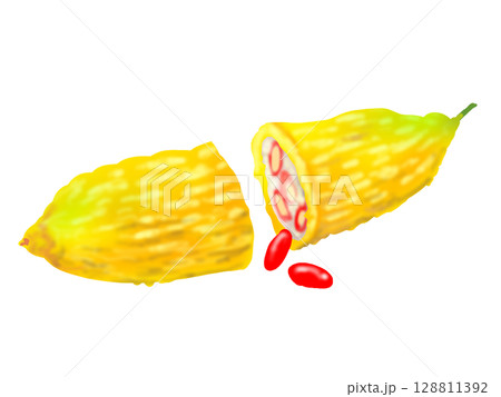 完熟ゴーヤと赤い種のイラスト 完熟ゴーヤと赤い種のイラスト 128811392