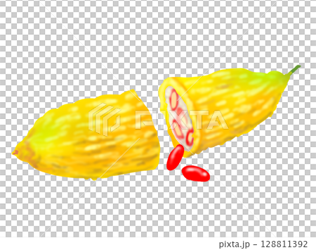 成熟苦瓜和紅色種子的插圖 128811392