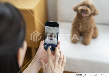スマホで愛犬撮影をする女性の手元 スマホで愛犬撮影をする女性の手元 128811439