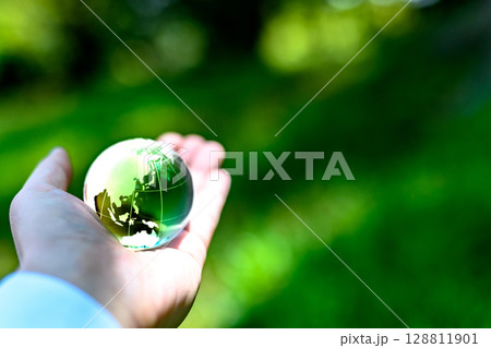 綺麗な新緑にかざす地球儀の水晶　エコロジーイメージ　緑色 128811901