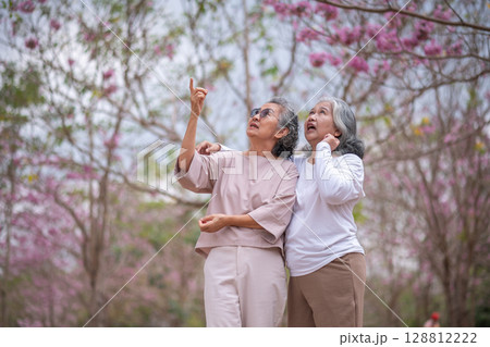 Elderly women with gray hair enjoying a beautiful moment together outdoors, surrounded by blooming pink flowers expressions reflect deep friendship and happiness relaxation with nature. Elderly women with gray hair enjoying a beautiful moment together outdoors, surrounded by blooming pink flowers expressions reflect deep friendship and happiness relaxation with nature. 128812222