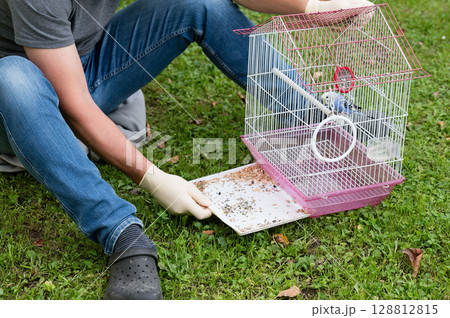 Man cleaning birdcage outdoors. Gentle bird care on a grassy lawn. 128812815