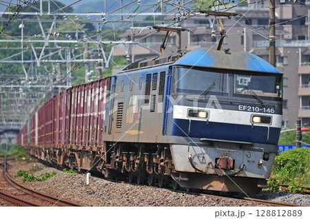 東海道本線 真鶴 JR貨物 EF210-146(吹田) 東海道本線 真鶴 JR貨物 EF210-146(吹田) 128812889