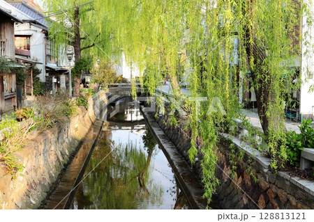 伊豆半島 下田 ペリーロード 伊豆半島 下田 ペリーロード 128813121