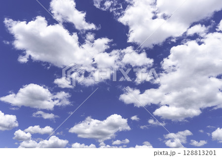 夏雲 イメージ 夏雲 イメージ 128813201