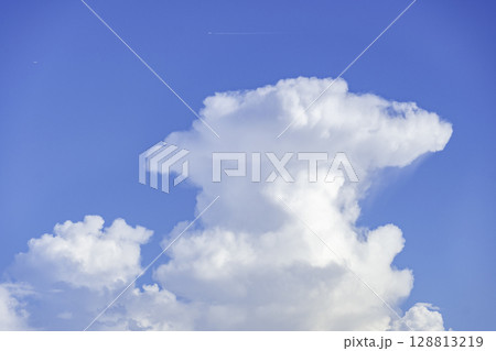 夏雲 イメージ 夏雲 イメージ 128813219
