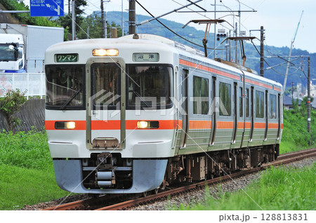 御殿場線　下曽我－上大井　JR東海　313系　V9編成（静岡） 128813831