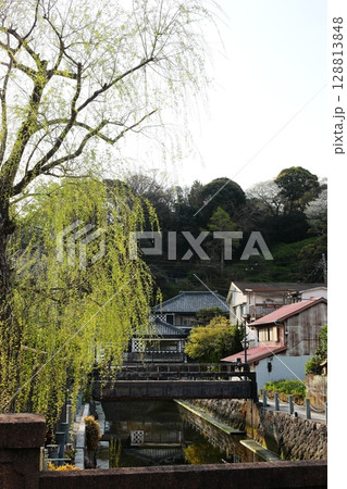 伊豆半島　下田　ペリーロード　タテ位置 128813848