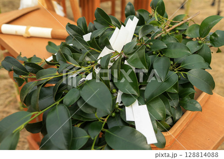 地鎮祭玉榊 紙垂たまぐし さかき かみだれ 地鎮祭玉榊 紙垂たまぐし さかき かみだれ 128814088