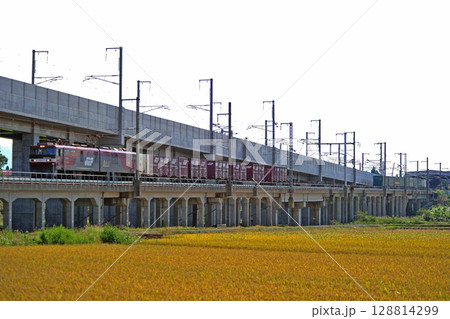 津軽海峡線　知内－木古内　JR貨物　EH500-8（仙台） 128814299