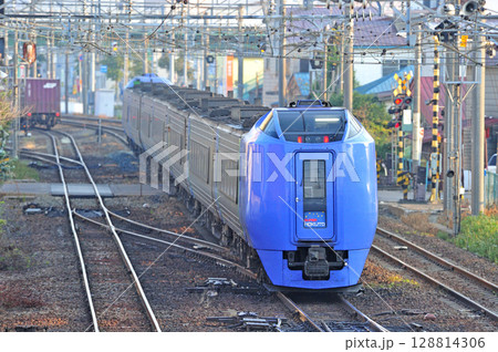 函館本線　五稜郭－函館　JR北海道　キハ281系　スーパー北斗 128814306