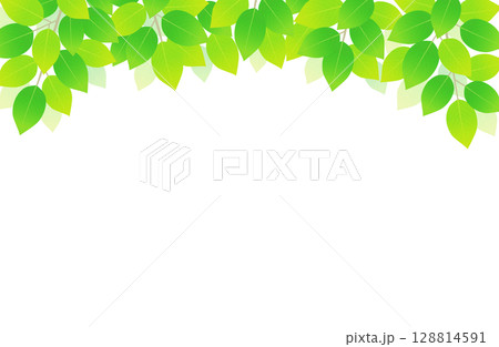 新緑 葉っぱ 上 背景素材 イラスト 128814591