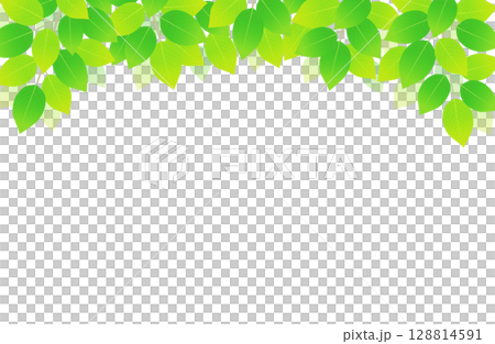 Fresh green leaves on background material illustration 128814591