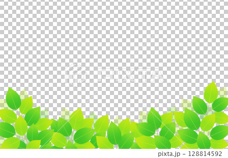 新緑 葉っぱ 下 背景素材 イラスト 128814592