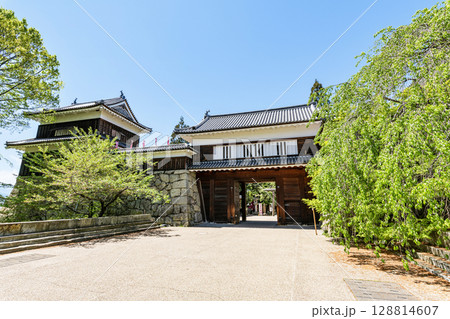 長野県上田市　快晴の上田城東虎口櫓門 128814607