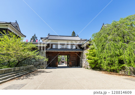 長野県上田市　快晴の上田城東虎口櫓門 128814609