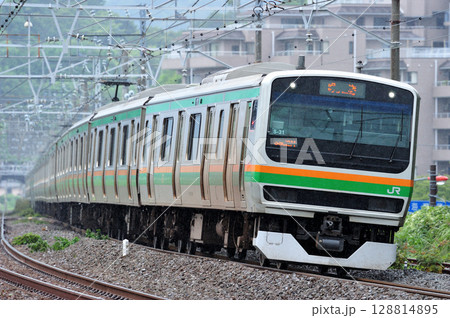 東海道本線　万鶴　JR東日本　E231系1000番台　S-31編成（国府津） 128814895
