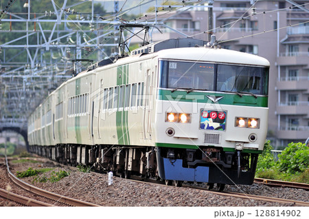 東海道本線 万鶴 JR東日本 185系 A1編成(大宮) 踊り子 東海道本線 万鶴 JR東日本 185系 A1編成(大宮) 踊り子 128814902