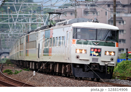 東海道本線 万鶴 JR東日本 185系 C2編成(大宮) 踊り子 東海道本線 万鶴 JR東日本 185系 C2編成(大宮) 踊り子 128814906