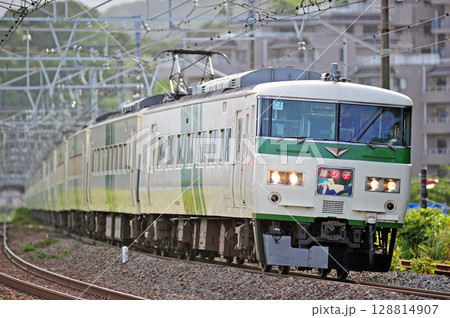 東海道本線 万鶴 JR東日本 185系 C4編成(大宮) 踊り子 東海道本線 万鶴 JR東日本 185系 C4編成(大宮) 踊り子 128814907