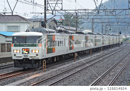 東海道本線　二宮－大磯　JR東日本　185系　C2編成（大宮）　踊り子 128814924