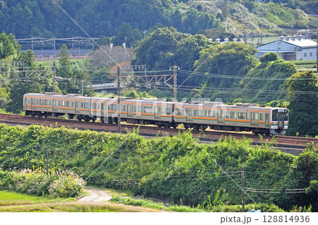 東海道本線　菊川－金谷　JR東海　211系　LL2編成（静岡） 128814936