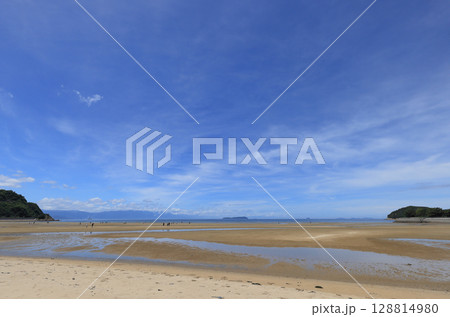 盛夏の父毋が浜から、燧灘に浮かぶいりこの島、伊吹島を見る 128814980