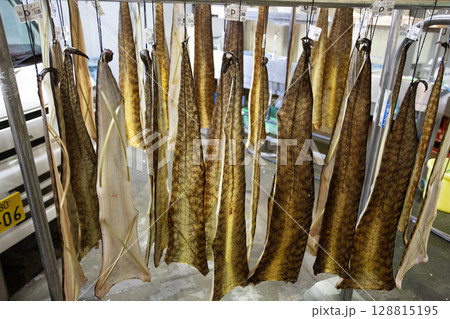 dried utsubo, a japanese moray eel, are on sale in Tore Tore market. dried utsubo, a japanese moray eel, are on sale in Tore Tore market. 128815195