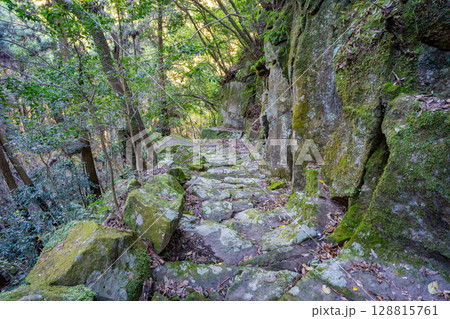 掛橋坂の風景(姶良市蒲生町) 掛橋坂の風景(姶良市蒲生町) 128815761